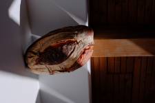 Antonio FILMMAKER - Antonio Chauvard