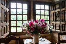 Alexis MESTRE - ALEXIS MESTRE