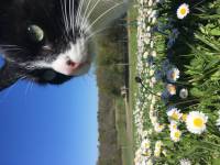 Anne JOLIVET - LES SENTIERS CREATIFS (PHOTOS EQUIVOX)