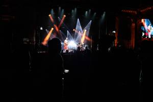 Alexis MESTRE - ALEXIS MESTRE