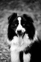 Ludvina LARRAZ - LUDY PHOTOGRAPHY