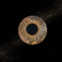 Caroline GAVALLET - CAROLINE GAVALLET